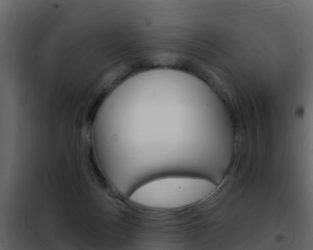 X0000102480172200808081041