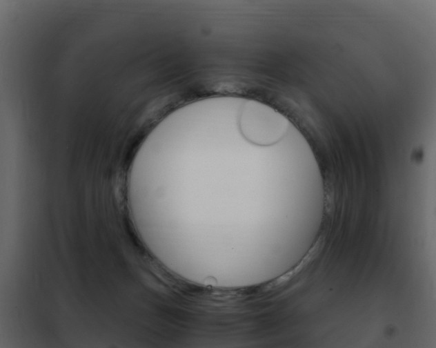 X0000102480175200808081041