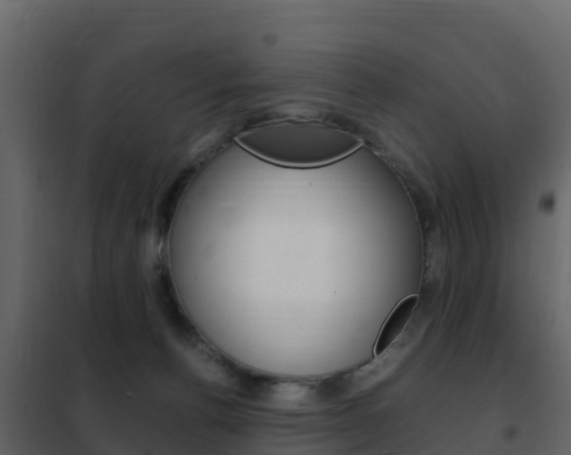 X0000102480176200808081041