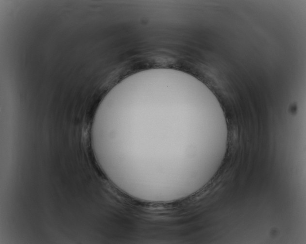 X0000102480177200808081041