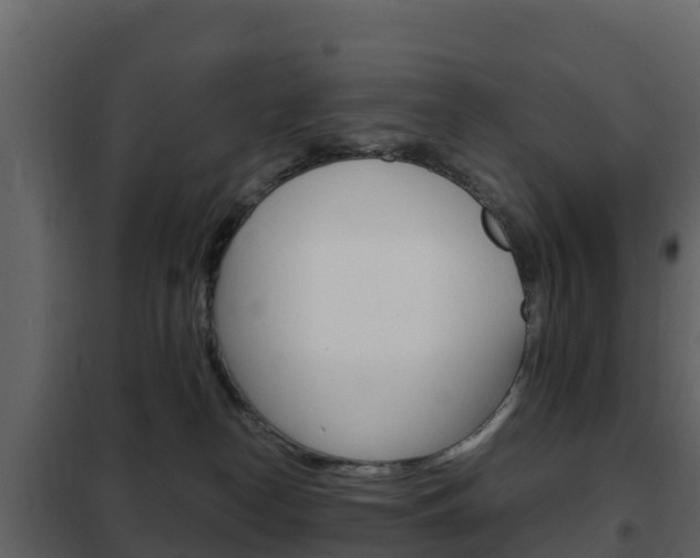 X0000102480182200808081041