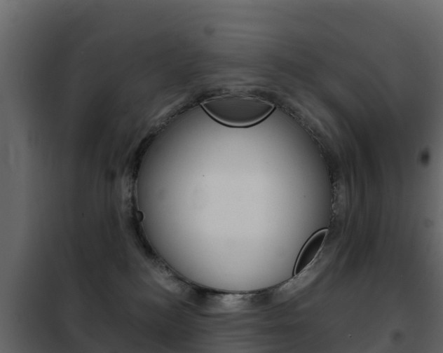 X0000102480184200808081041
