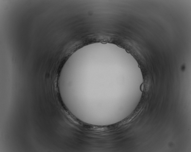 X0000102480185200808081041