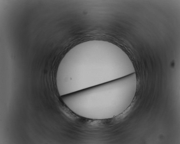X0000102480186200808081041