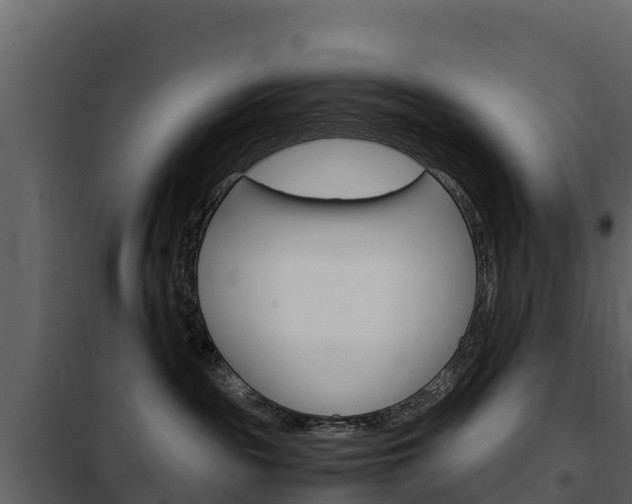X0000102480189200808081041