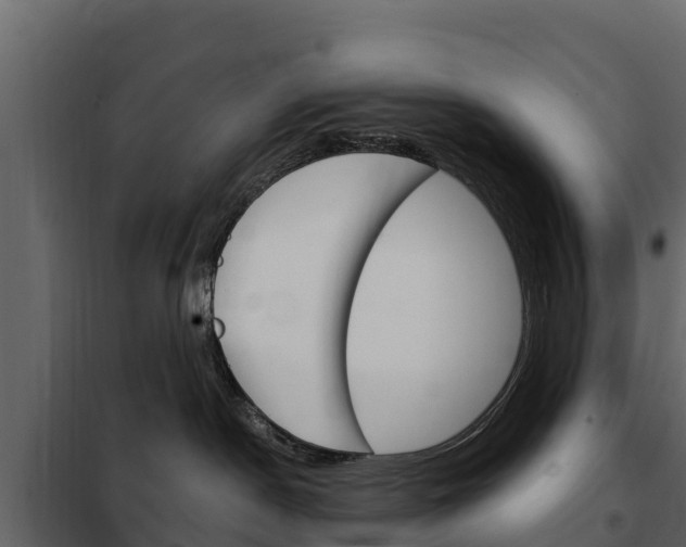 X0000102480190200808081041