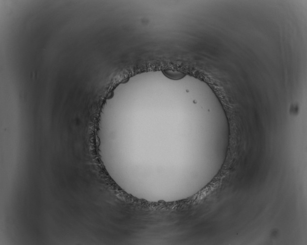 X0000102480192200808081041