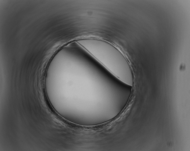 X0000102480193200808081040