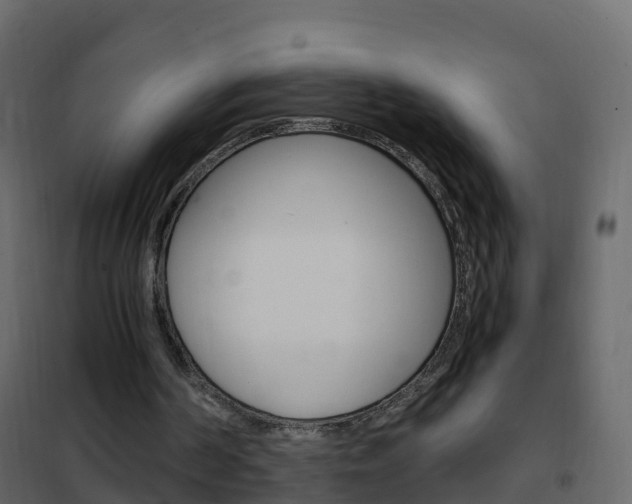 X0000102480194200808081040