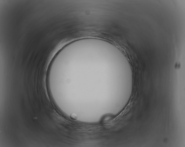 X0000102480195200808081040