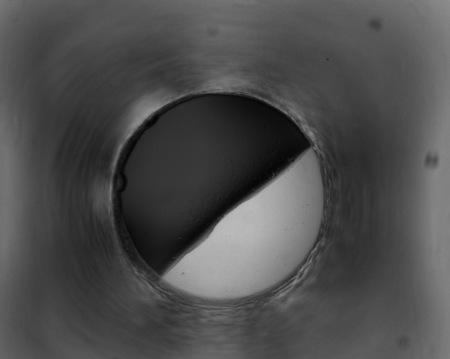 X0000102480196200808081040