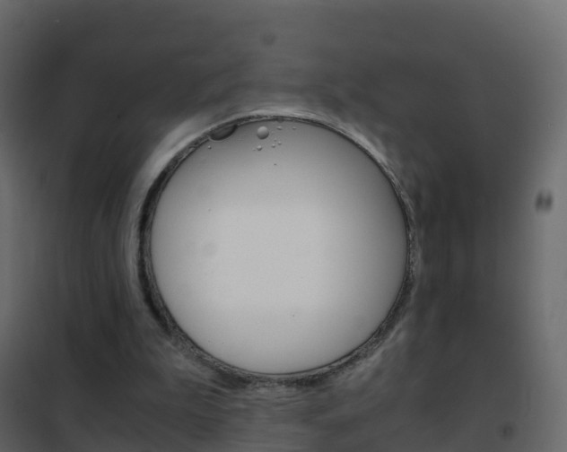 X0000102480199200808081040