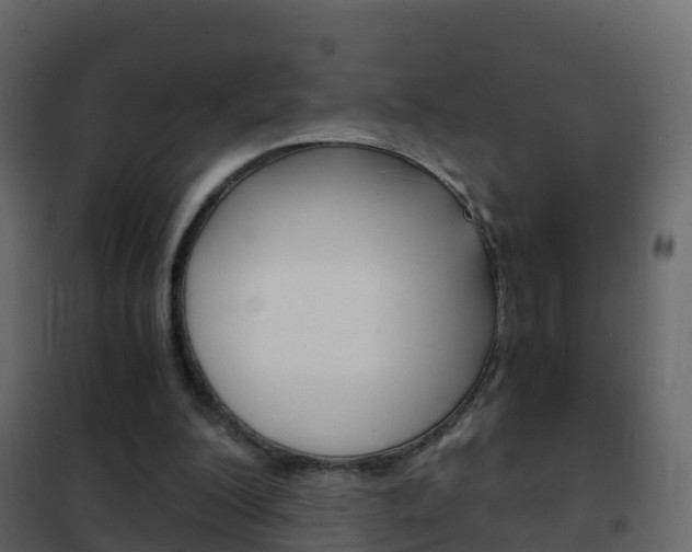 X0000102480200200808081040