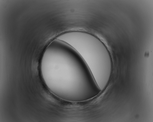 X0000102480201200808081040