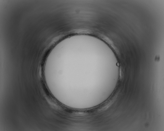X0000102480205200808081040