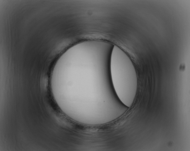 X0000102480206200808081040