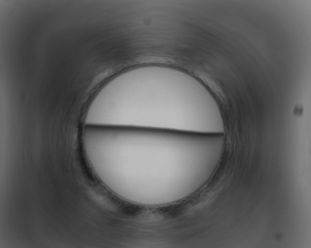 X0000102480207200808081040
