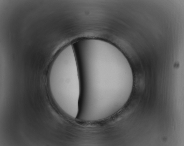 X0000102480208200808081040