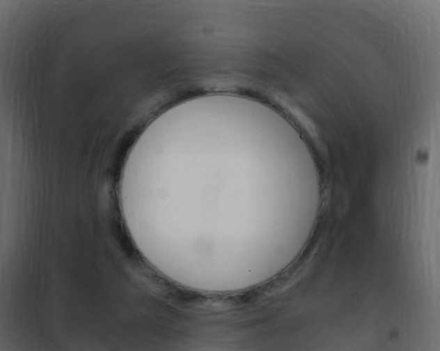 X0000102480209200808081040