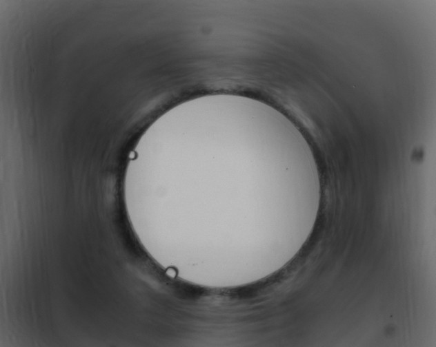 X0000102480211200808081040