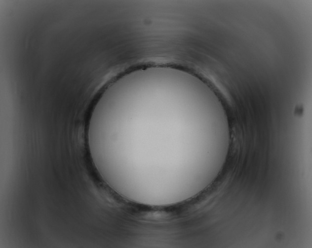 X0000102480212200808081040