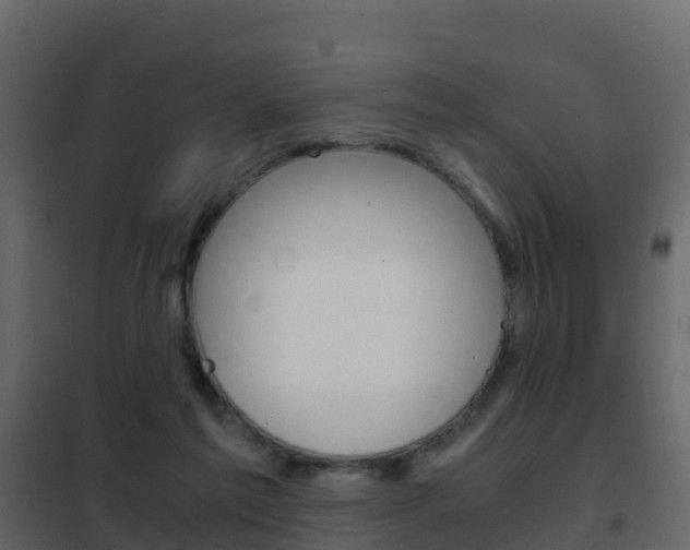 X0000102480213200808081040