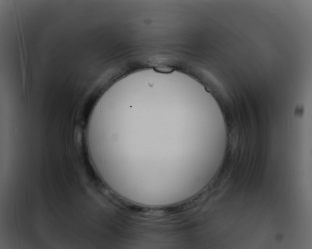 X0000102480214200808081040