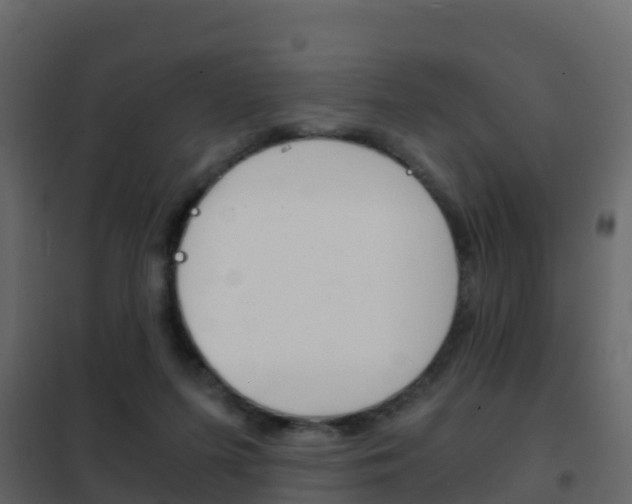 X0000102480215200808081040