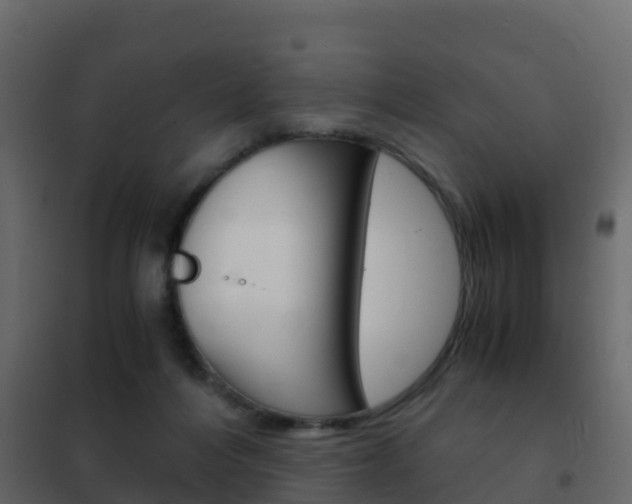 X0000102480216200808081040