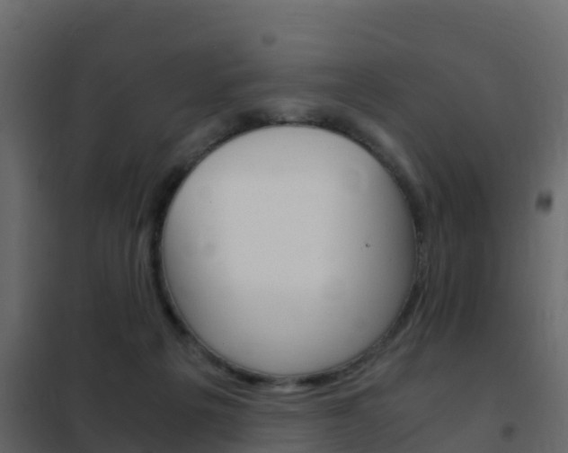 X0000102480217200808081040