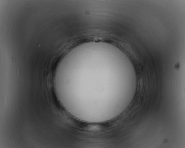 X0000102480218200808081040