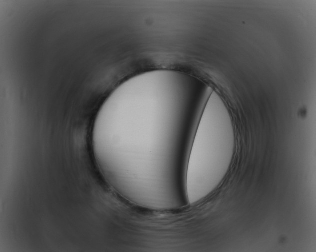 X0000102480221200808081040