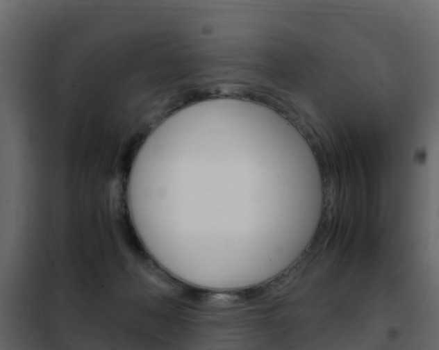 X0000102480222200808081040