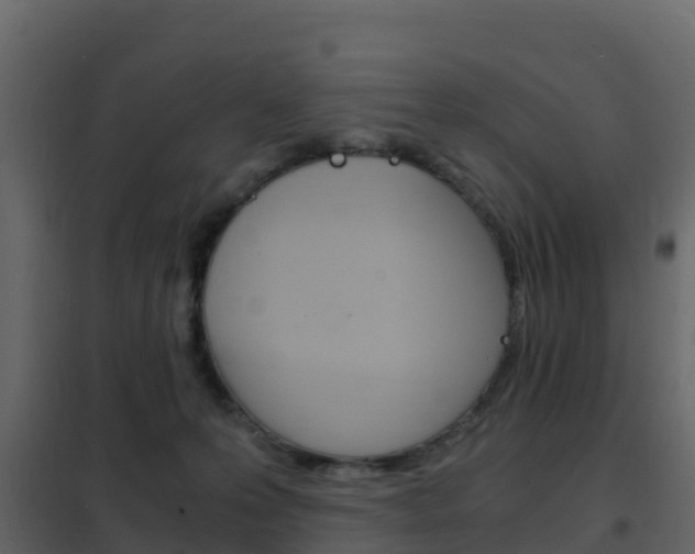 X0000102480223200808081040