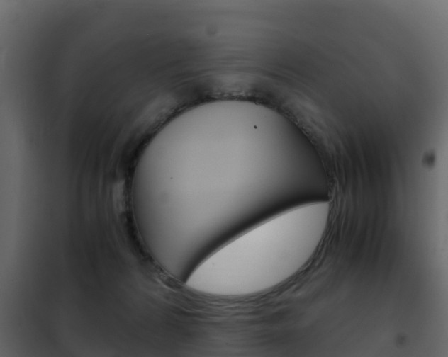 X0000102480224200808081040