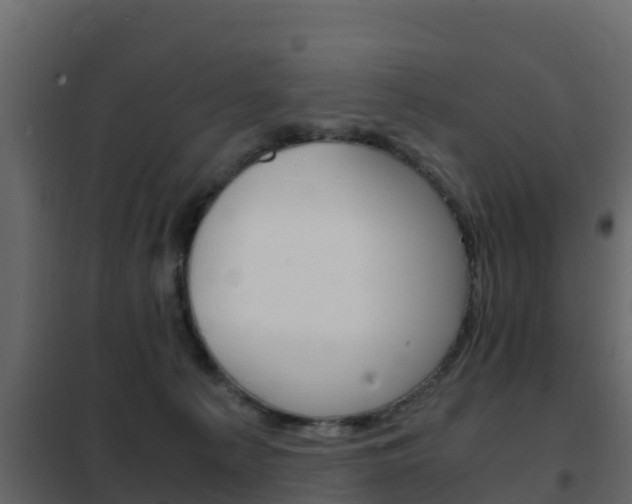 X0000102480225200808081040