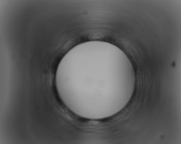 X0000102480227200808081040