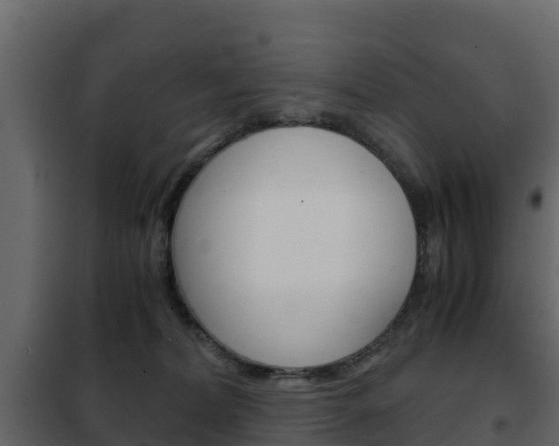 X0000102480228200808081040