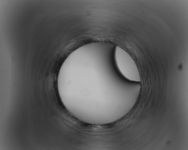 X0000102480229200808081040