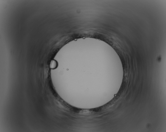 X0000102480231200808081040