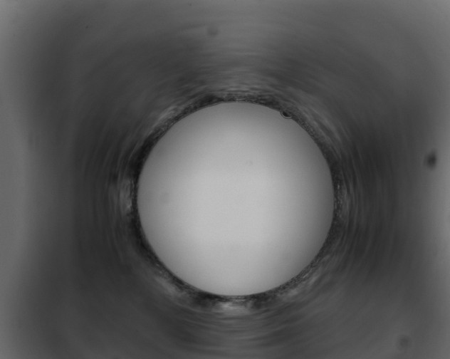 X0000102480232200808081040