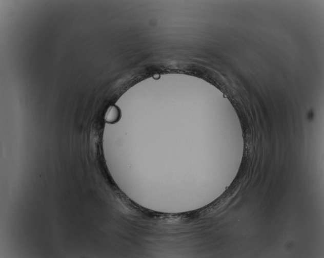 X0000102480235200808081040