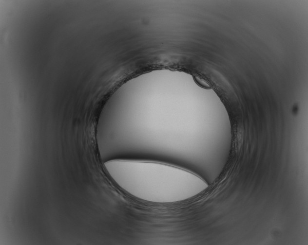 X0000102480236200808081040