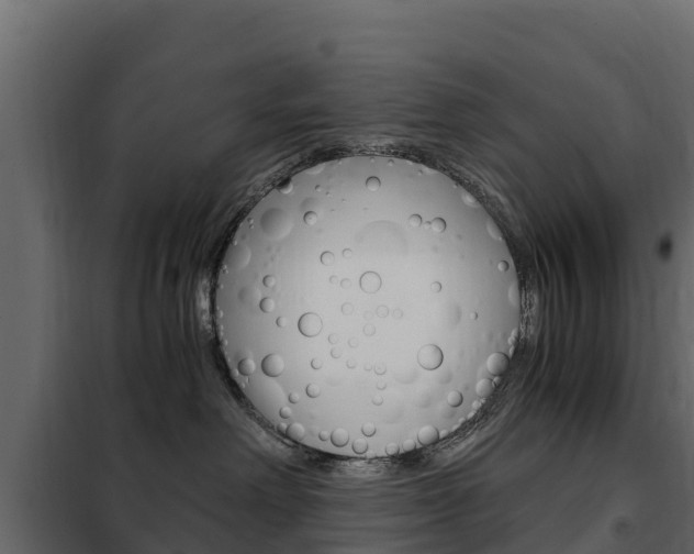 X0000102480238200808081040