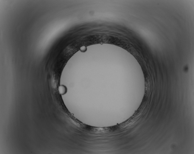 X0000102480239200808081039
