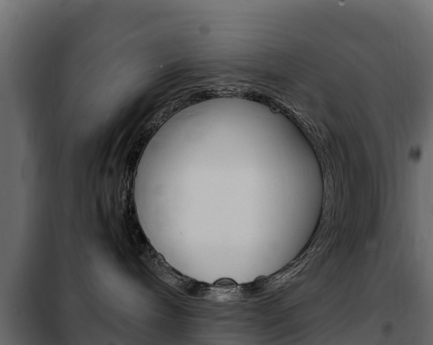 X0000102480240200808081039