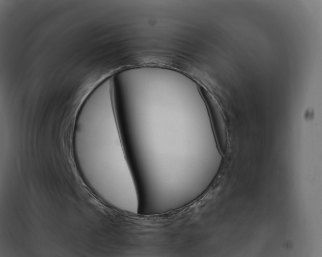 X0000102480241200808081039