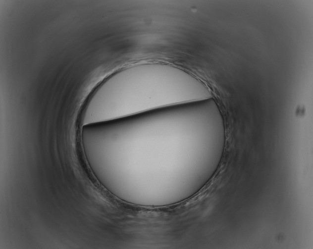 X0000102480242200808081039
