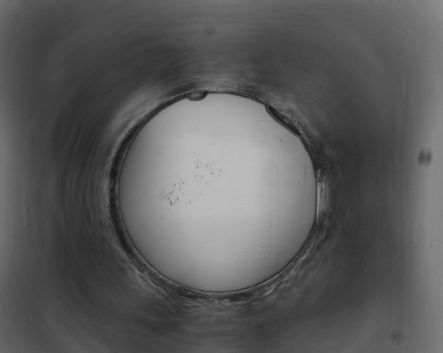 X0000102480243200808081039