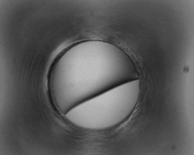 X0000102480246200808081039